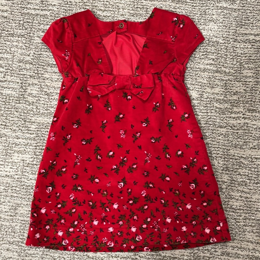 Red Velvet Dress - Picture 2 of 5